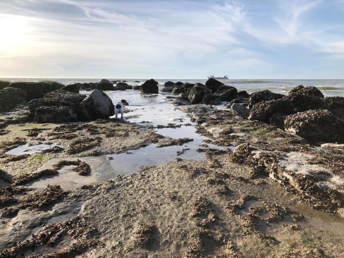 Zee Rust Daire Oostende Dış mekan fotoğraf
